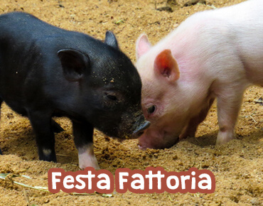 Festa a tema con animazione
